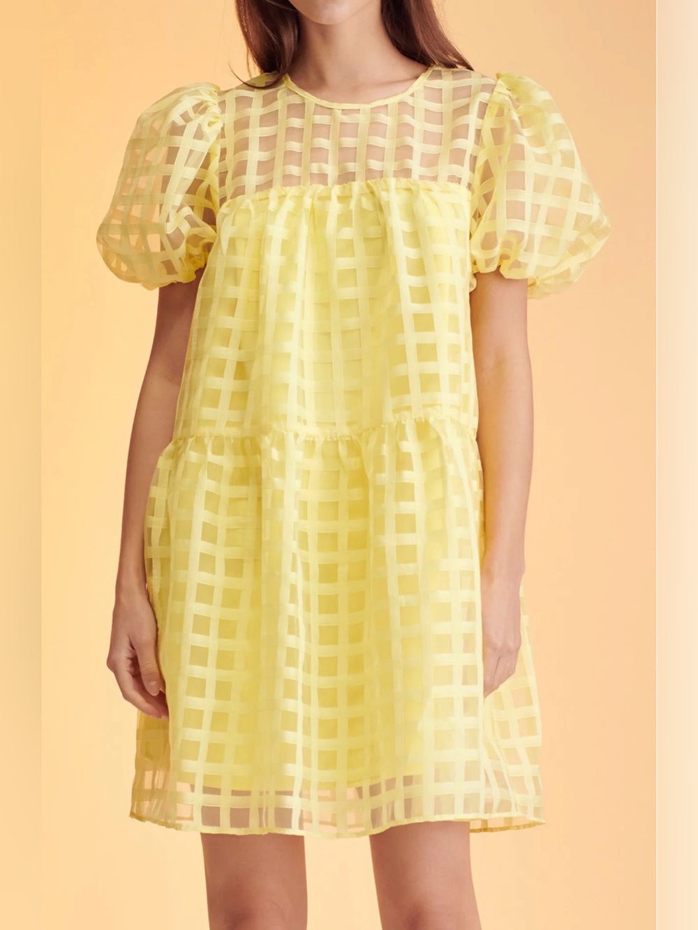 English Factory Gridded Organza Mini Dress Size XS